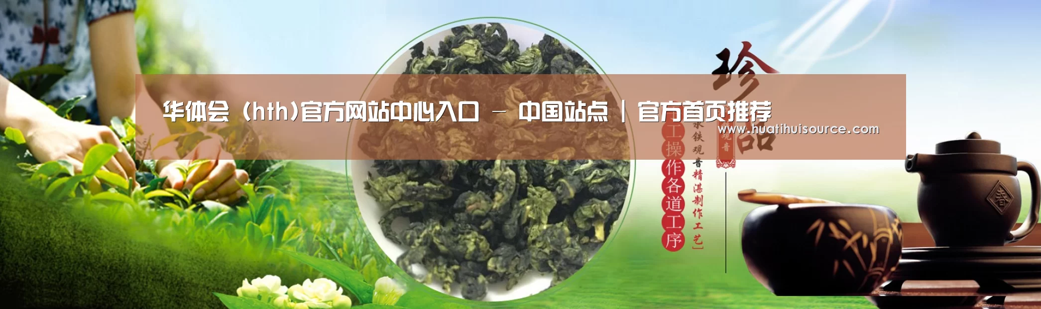 易优Cms-演示站