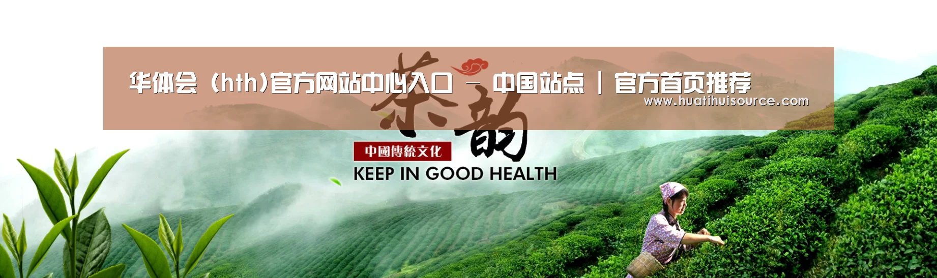 易优Cms-演示站