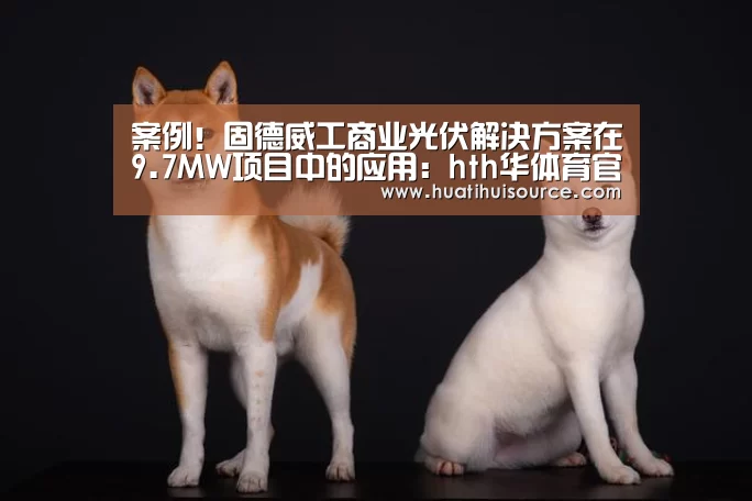 hth华体会官网