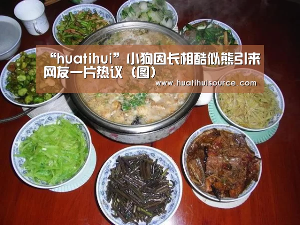 hth华体育官方入口