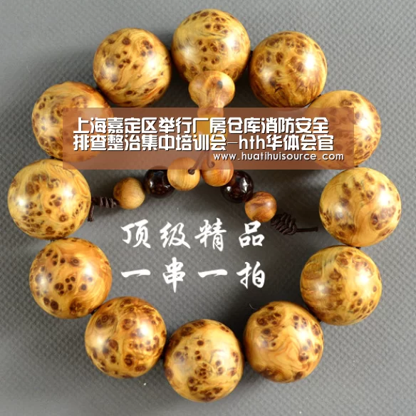 上海嘉定区举行厂房仓库消防安全排查整治集中培训会-hth华体会官网(图2) hth华体育官方入口