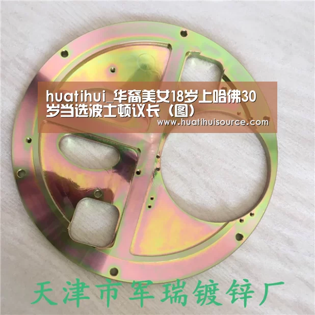 huatihui_华裔美女18岁上哈佛30岁当选波士顿议长(图)(图2) huatihui_华裔美女18岁上哈佛30岁当选波士顿议长(图)(图2)