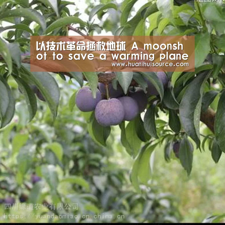 以技术革命拯救地球 A moonshot to save a warming planet‘hth华体育官方入口’(图3) hth华体育官方入口