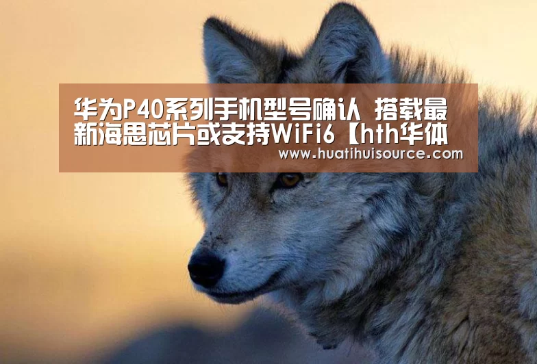 华为P40系列手机型号确认 搭载最新海思芯片或支持WiFi6【hth华体会官网】(图2) 华为P40系列手机型号确认 搭载最新海思芯片或支持WiFi6【hth华体会官网】(图2)